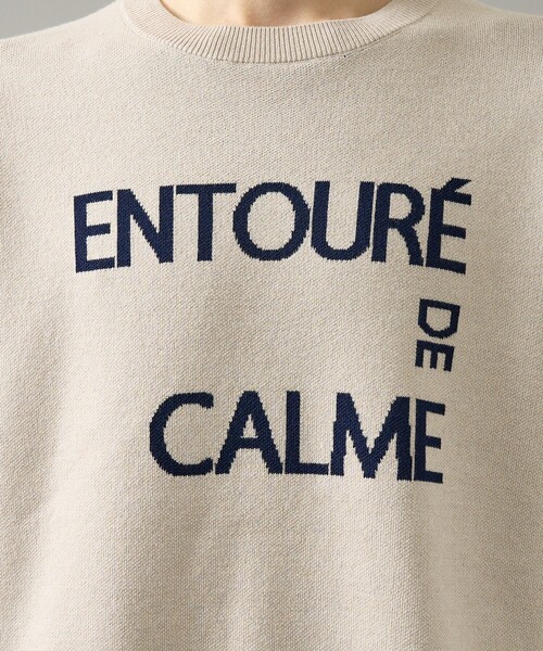 ABAHOUSE(アバハウス)の「【2026NEW】ジャガードロゴニット プルオーバー / オーバーサイズ / LE TRIO ABAHOUSE(ニット/セーター・メンズ・ネイビー/ベージュ/グリーン・48/46)」の18枚目の写真