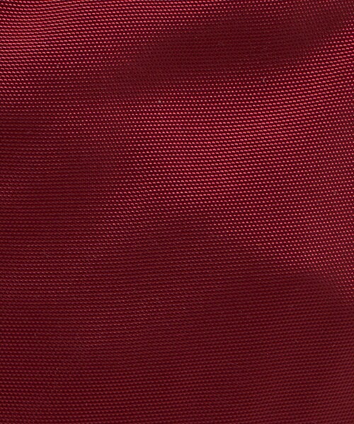 PARROTT CANVAS(パロットキャンバス)の「【別注】<PARROTT CANVAS>ナップサック(バックパック/リュック・レディース・ワイン・FREE)」の14枚目の写真
