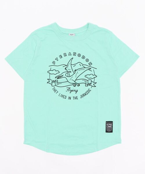 ALPHA LABEL（アルファーレーベル）の「COOL FABRIC DINOSAURS T-SHIRT（Tシャツ/カットソー・キッズ・ミント/チャコールグレー/イエロー/サックスブルー/ネイビー/カーキ/ベージュ/オフホワイト・150/140/S/120/90/100/130/110）」の12枚目の写真