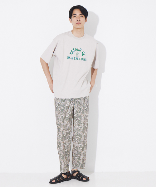 ABAHOUSE(アバハウス)の「サボテンカレッジロゴ Tシャツ(Tシャツ/カットソー・メンズ・ホワイト/ベージュ・46/48/50)」の4枚目の写真