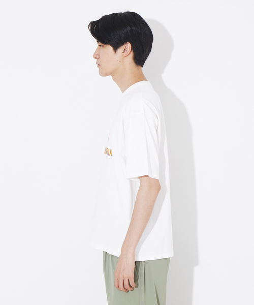 ABAHOUSE(アバハウス)の「サボテンカレッジロゴ Tシャツ(Tシャツ/カットソー・メンズ・ホワイト/ベージュ・46/48/50)」の5枚目の写真
