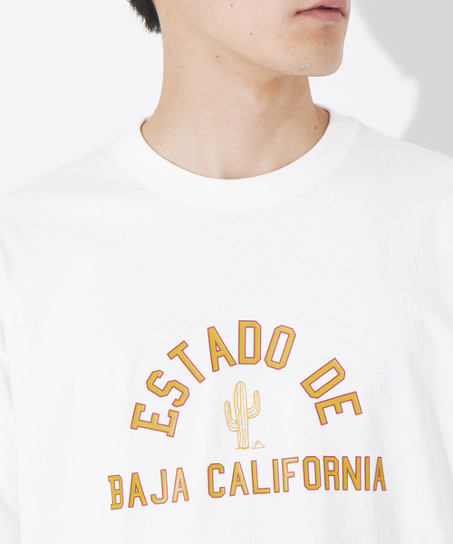 ABAHOUSE(アバハウス)の「サボテンカレッジロゴ Tシャツ(Tシャツ/カットソー・メンズ・ホワイト/ベージュ・46/48/50)」の7枚目の写真