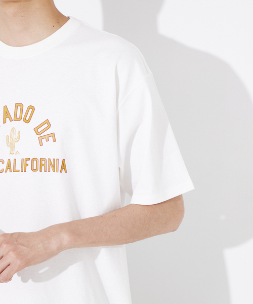 ABAHOUSE(アバハウス)の「サボテンカレッジロゴ Tシャツ(Tシャツ/カットソー・メンズ・ホワイト/ベージュ・46/48/50)」の8枚目の写真
