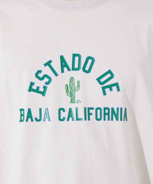 ABAHOUSE(アバハウス)の「サボテンカレッジロゴ Tシャツ(Tシャツ/カットソー・メンズ・ホワイト/ベージュ・46/48/50)」の12枚目の写真