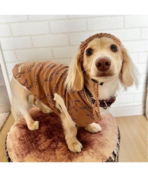 ティノティート TINOTITO ベレー帽 S 小型犬 犬用 帽子 ヘア