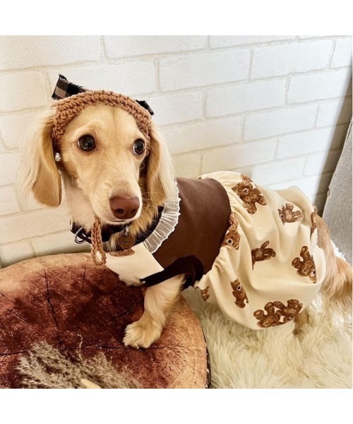 tone（トーン）の「【shop ann】犬用ベレー帽 ノーマル 耳だし