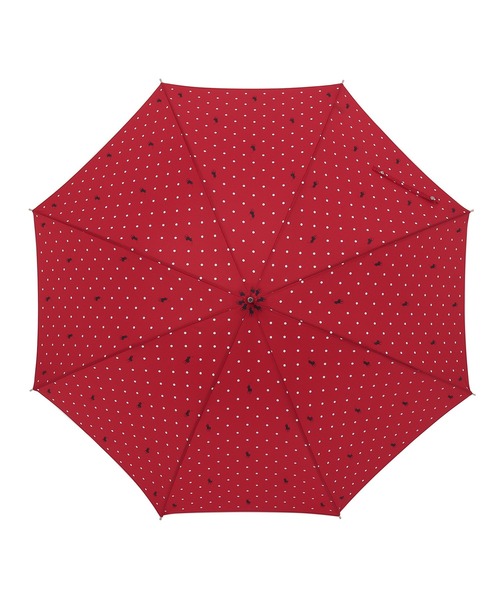 POLO RALPH LAUREN（ポロ ラルフ ローレン）の「傘 水玉（長傘）」 - WEAR