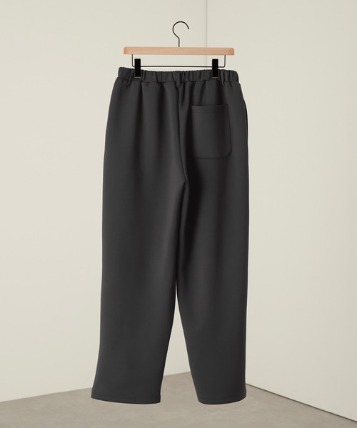 Alfred Alex(アルフレッドアレックス)の「【Alfred Alex】ダブルフェイスディープタック ハイウエストイージーパンツ(その他パンツ・メンズ・アイボリー/チャコール/ライトグレー/ブラック/グレー・L/M/S)」の13枚目の写真