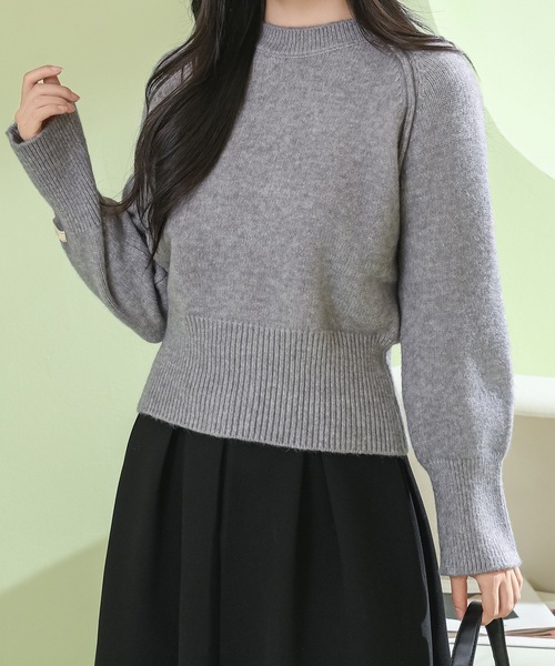 Lace Ladies（レースレディース）の「ラウンドネック コンパクト 長袖 ニット プルオーバー（ニット/セーター・レディース・ダークグレー/ベージュ/ライトグレー/アイボリー/ブラック・FREE）」の2枚目の写真