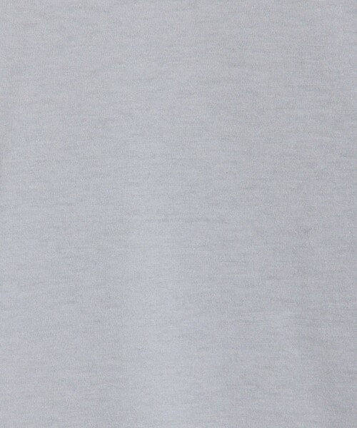 JAMES PERSE(ジェームスパース)の「リュクスジャージー クルーネックTシャツ MELJ3199(Tシャツ/カットソー・メンズ・グレー/ライトグレー・1/0)」の4枚目の写真