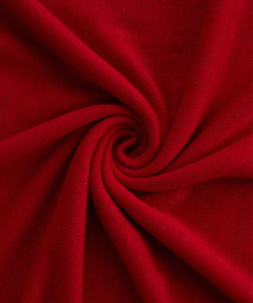 38COMEONCOMMON(38カモンコモン)の「Sheer Touch Long Sleeve (Red)(Tシャツ/カットソー・レディース・その他・FREE)」の4枚目の写真