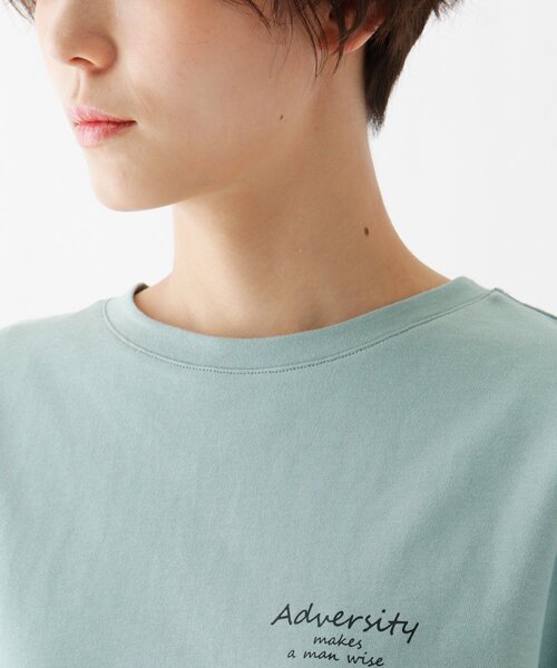 DRESKIP（ドレスキップ）の「◆ひんやり　転写プリントTシャツ（Tシャツ/カットソー・レディース・ライトベージュ/グリーン系/グレー系その他/オフホワイト・02/03）」の13枚目の写真