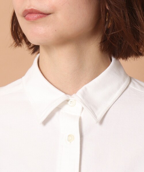 DRESSTERIOR(ドレステリア)の「◆オックスフォードシャツ(シャツ/ブラウス・レディース・ホワイト/サックスブルー・38/36)」の7枚目の写真