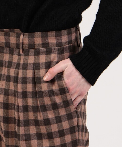 PT TORINO(ピーティートリノ)の「PT TORINO Carrot Fit ウールナイロン 2プリーツパンツ(スラックス・メンズ・ピンク系その他2/ブラウン系その他・46/50)」の9枚目の写真