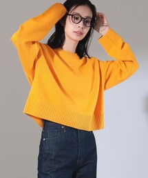 Demi-Luxe BEAMS | 7ゲージ ウール クルーネック プルオーバー(ニット/セーター)