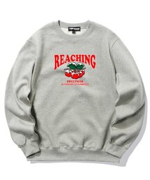 スノウイチェリーグラフィッククルーネック - グレー