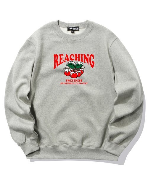TRIPSHION(トリップション)の「スノウイチェリーグラフィッククルーネック - グレー(スウェット・メンズ・その他・LARGE/MEDIUM/X-LARGE)」の1枚目の写真