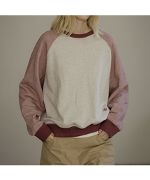 Coloring melange reglan MTM [KNFW04TS06]_[2color]