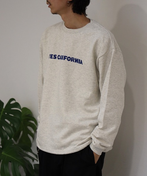 The Endless Summer（エンドレスサマー）の「【WEB / FLAG SHOP限定】TES CALIFORNIA DESIGN 裾ドローコード BIG SWEAT /オーバーサイズ・ビッグシルエット・クルーネック（スウェット・メンズ・グリーン/レッド/オレンジ/ブルー・LARGE/MEDIUM/FREE）」の16枚目の写真