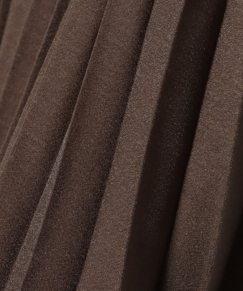 BEAMS HEART(ビームスハート)の「シアー プリーツ スカート(スカート・レディース・チャコールグレー/ベージュ/ダークブラウン・FREE)」の9枚目の写真