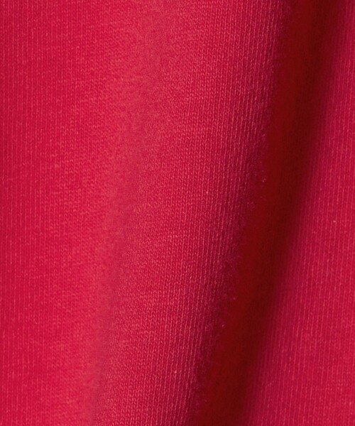 Champion(チャンピオン)の「【WEB限定】<Champion>ショートスリーブ Tシャツ / キッズ 140cm-160cm(Tシャツ/カットソー・キッズ・ブラック/レッド/コバルトブルー・140cm/150cm/160cm)」の14枚目の写真