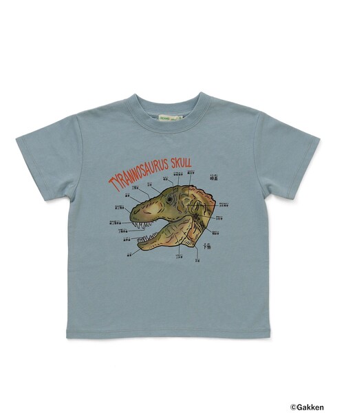 BEAMS mini(ビームスミニ)の「【COLLABORATION】学研の図鑑LIVEエクストリーム / Tシャツ (90~140cm)(Tシャツ/カットソー・キッズ・ホワイト系その他5/グリーン/サックスブルー・140/130/110/100/90/120)」の3枚目の写真