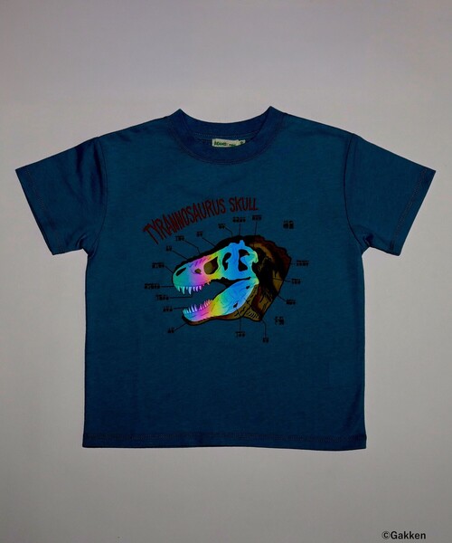 BEAMS mini(ビームスミニ)の「【COLLABORATION】学研の図鑑LIVEエクストリーム / Tシャツ (90~140cm)(Tシャツ/カットソー・キッズ・ホワイト系その他5/グリーン/サックスブルー・140/130/110/100/90/120)」の13枚目の写真