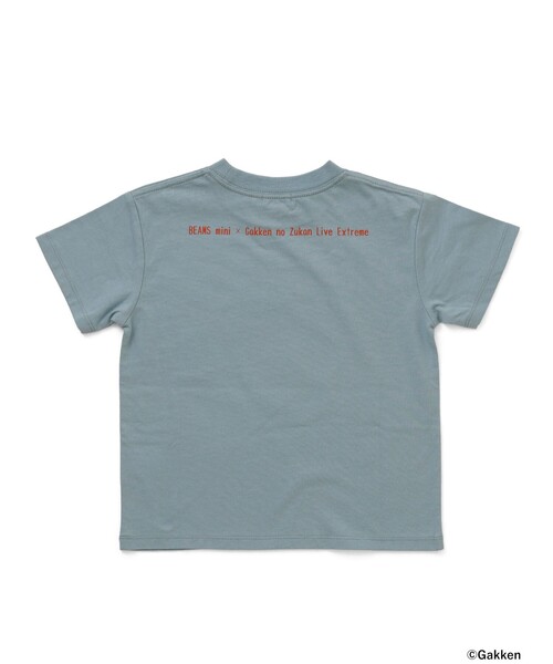 BEAMS mini(ビームスミニ)の「【COLLABORATION】学研の図鑑LIVEエクストリーム / Tシャツ (90~140cm)(Tシャツ/カットソー・キッズ・ホワイト系その他5/グリーン/サックスブルー・140/130/110/100/90/120)」の14枚目の写真
