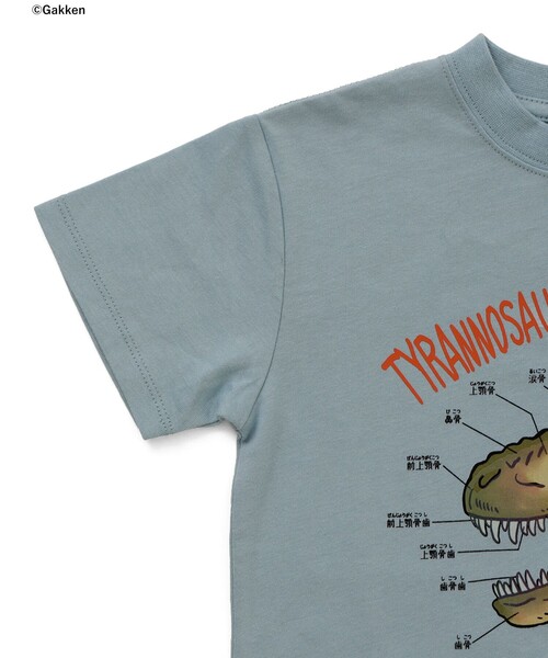 BEAMS mini(ビームスミニ)の「【COLLABORATION】学研の図鑑LIVEエクストリーム / Tシャツ (90~140cm)(Tシャツ/カットソー・キッズ・ホワイト系その他5/グリーン/サックスブルー・140/130/110/100/90/120)」の17枚目の写真