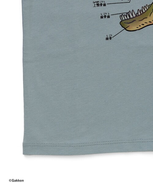 BEAMS mini(ビームスミニ)の「【COLLABORATION】学研の図鑑LIVEエクストリーム / Tシャツ (90~140cm)(Tシャツ/カットソー・キッズ・ホワイト系その他5/グリーン/サックスブルー・140/130/110/100/90/120)」の18枚目の写真