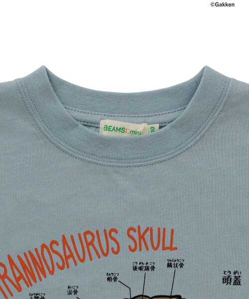 BEAMS mini(ビームスミニ)の「【COLLABORATION】学研の図鑑LIVEエクストリーム / Tシャツ (90~140cm)(Tシャツ/カットソー・キッズ・ホワイト系その他5/グリーン/サックスブルー・140/130/110/100/90/120)」の19枚目の写真