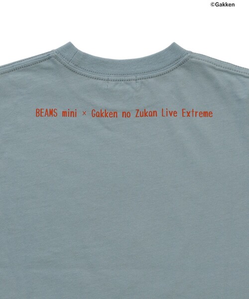 BEAMS mini(ビームスミニ)の「【COLLABORATION】学研の図鑑LIVEエクストリーム / Tシャツ (90~140cm)(Tシャツ/カットソー・キッズ・ホワイト系その他5/グリーン/サックスブルー・140/130/110/100/90/120)」の20枚目の写真