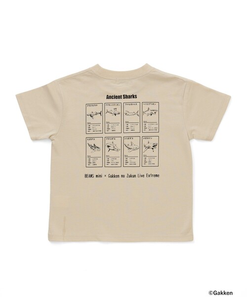 BEAMS mini(ビームスミニ)の「【COLLABORATION】学研の図鑑LIVEエクストリーム / Tシャツ (90~140cm)(Tシャツ/カットソー・キッズ・ホワイト系その他5/グリーン/サックスブルー・140/130/110/100/90/120)」の22枚目の写真