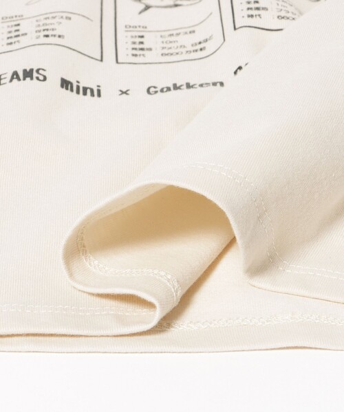 BEAMS mini(ビームスミニ)の「【COLLABORATION】学研の図鑑LIVEエクストリーム / Tシャツ (90~140cm)(Tシャツ/カットソー・キッズ・ホワイト系その他5/グリーン/サックスブルー・140/130/110/100/90/120)」の4枚目の写真