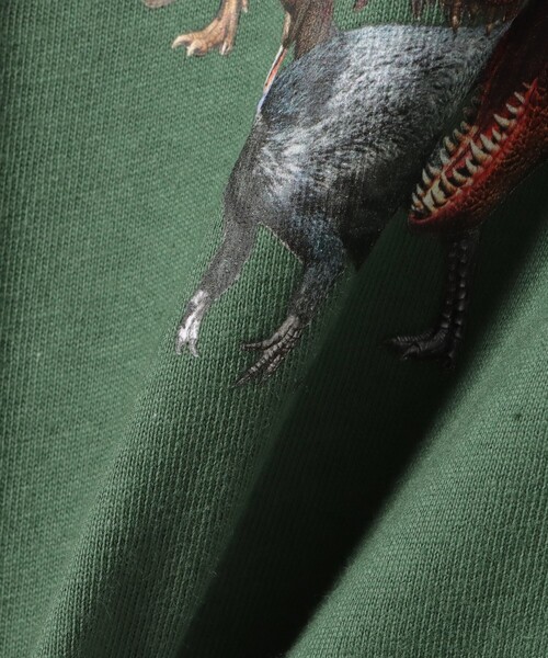 BEAMS mini(ビームスミニ)の「【COLLABORATION】学研の図鑑LIVEエクストリーム / Tシャツ (90~140cm)(Tシャツ/カットソー・キッズ・ホワイト系その他5/グリーン/サックスブルー・140/130/110/100/90/120)」の8枚目の写真