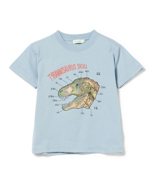 BEAMS mini(ビームスミニ)の「【COLLABORATION】学研の図鑑LIVEエクストリーム / Tシャツ (90~140cm)(Tシャツ/カットソー・キッズ・ホワイト系その他5/グリーン/サックスブルー・140/130/110/100/90/120)」の9枚目の写真