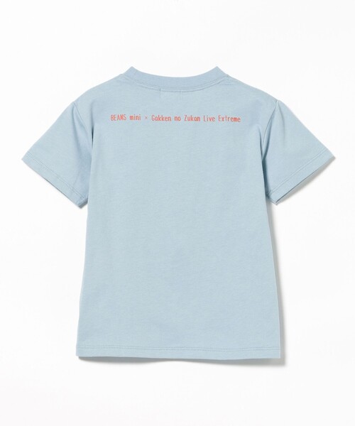 BEAMS mini(ビームスミニ)の「【COLLABORATION】学研の図鑑LIVEエクストリーム / Tシャツ (90~140cm)(Tシャツ/カットソー・キッズ・ホワイト系その他5/グリーン/サックスブルー・140/130/110/100/90/120)」の10枚目の写真