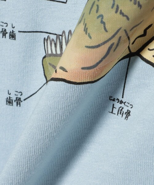 BEAMS mini(ビームスミニ)の「【COLLABORATION】学研の図鑑LIVEエクストリーム / Tシャツ (90~140cm)(Tシャツ/カットソー・キッズ・ホワイト系その他5/グリーン/サックスブルー・140/130/110/100/90/120)」の11枚目の写真