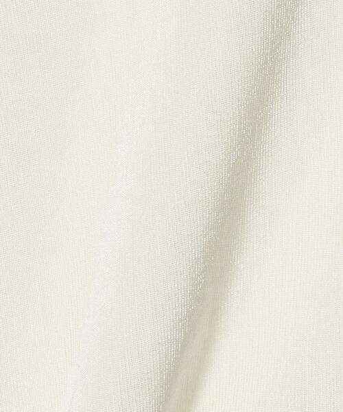 A DAY IN THE LIFE UNITED ARROWS(アデイインザライフユナイテッドアローズ)の「シャイニーリブ カットソー 5分袖 <A DAY IN THE LIFE>(Tシャツ/カットソー・レディース・オフホワイト/グレー系/ダークブラウン・FREE)」の18枚目の写真