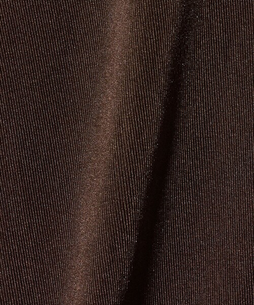 A DAY IN THE LIFE UNITED ARROWS(アデイインザライフユナイテッドアローズ)の「シャイニーリブ カットソー 5分袖 <A DAY IN THE LIFE>(Tシャツ/カットソー・レディース・オフホワイト/グレー系/ダークブラウン・FREE)」の7枚目の写真
