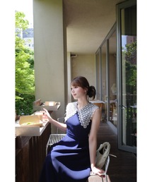 Lace Collar Sheer Line Dress