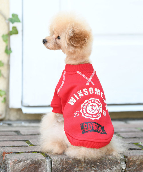 セール 雑貨 ホビー スポーツ Edwin エドウイン ロゴ スウェット 犬服 ドッグウェア ペットグッズ Edwin エドウィン のファッション
