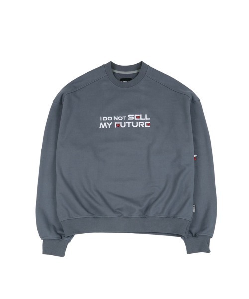 AJOBYAJO(アジョバイアジョ)の「【AJOBYAJO/アジョバイアジョ】Embroidered Slogam Sweatshirt/エンボス スローガン ロゴスウェット MTM(スウェット・メンズ・ライトグレー/グレイッシュブルー・L)」の19枚目の写真