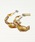 The RuleiU[j́uThe Rule U[FBumpy small hoop pierced ER;ʃ}[u t[vsAXisAXipjjvbuE