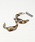 The RuleiU[j́uThe Rule U[FBumpy small hoop pierced ER;ʃ}[u t[vsAXisAXipjjvbCgu[