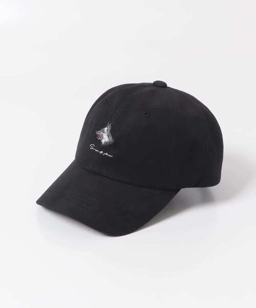 SENSE OF PLACE by URBAN RESEARCH（センスオブプレイスバイアーバンリサーチ）の「『ユニセックス』ツイルロゴシシュウキャップ（キャップ・メンズ・ブラック/ネイビー・ONE）」の10枚目の写真
