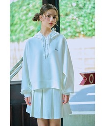 ダンボールタックフレアスカパン