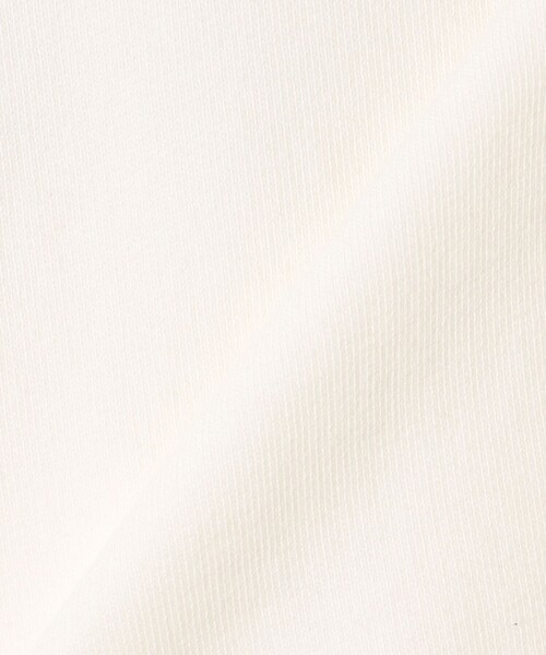 SHIPS any(シップス エニィ)の「【SHIPS any別注】THE KNiTS: カレッジ ロゴ フーディ パーカー 25SS(パーカー・レディース・グレー/ホワイト/ナチュラル・ONE SIZE)」の17枚目の写真