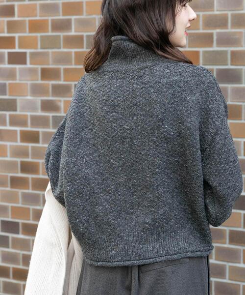 ITEMS URBANRESEARCH（アイテムズ アーバンリサーチ）の「ネップハイネックニットプルオーバー（ニット/セーター・レディース・チャコールグレー/ライトグレー/レッド/ブルー・FREE）」の20枚目の写真