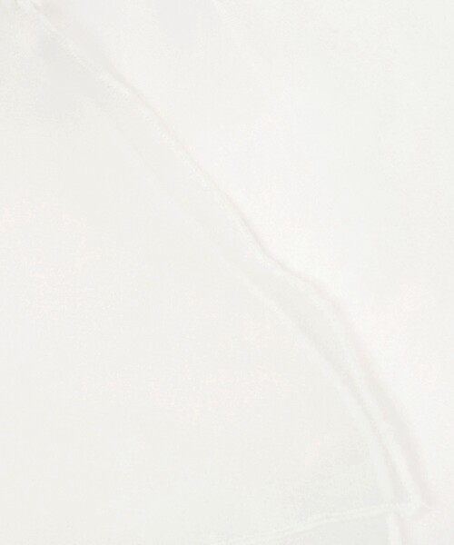 IRIS47（イリスフォーセブン）の「＜AYA KANEKO×IRIS 47×UNITED ARROWS＞オーガンジー つけ襟（付け襟・レディース・ブラック/ホワイト・FREE）」の5枚目の写真